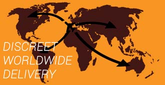 DISCREET WORLDWIDE DELIVERY